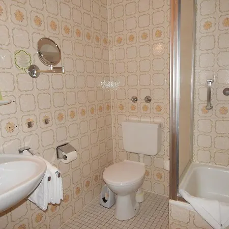 Hotel Garni Neustadter Hof 3*