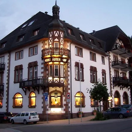 Hotel Garni Neustadter Hof 3*