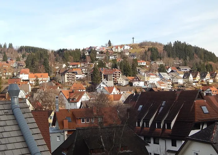 Garni Neustadter Hof Hotel Titisee-Neustadt